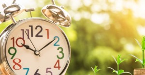 أدبيات الاستدامة